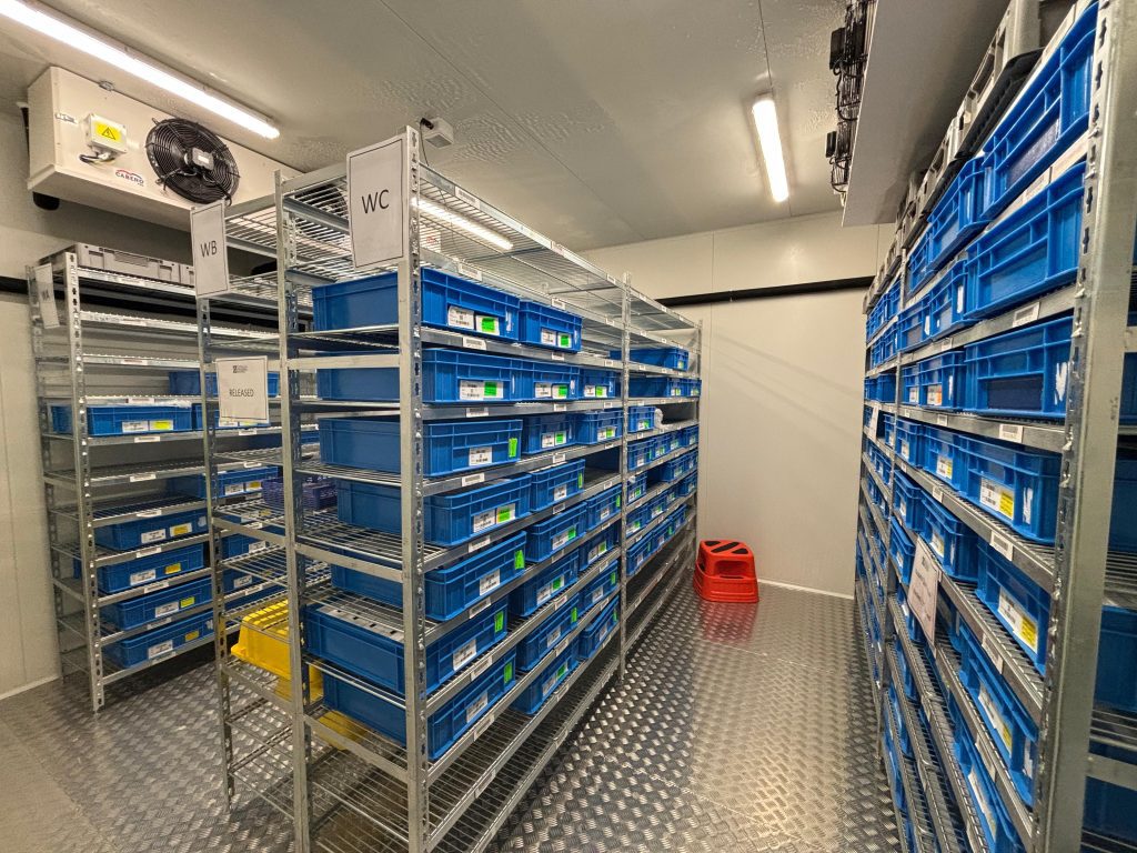 -20°C Walk In Freezer